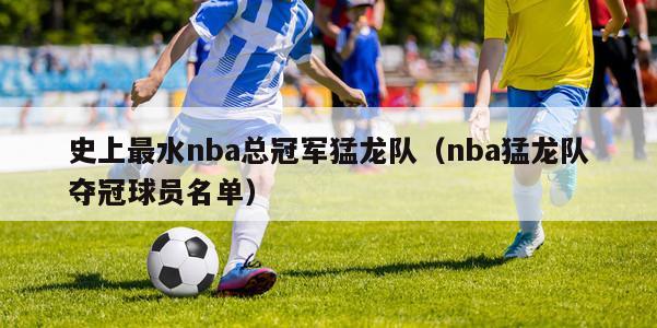 史上最水nba总冠军猛龙队（nba猛龙队夺冠球员名单）