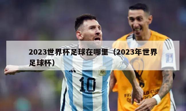 2023世界杯足球在哪里（2023年世界足球杯）