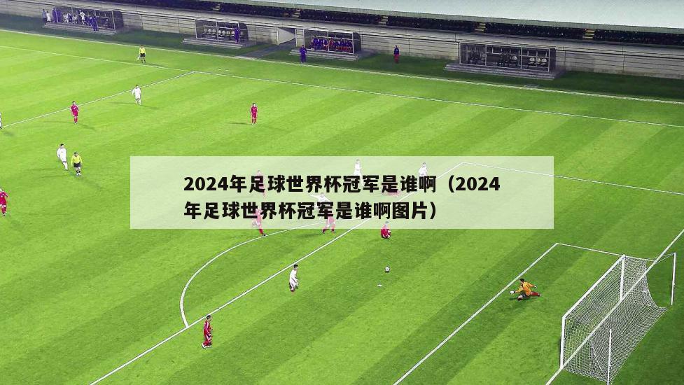 2024年足球世界杯冠军是谁啊（2024年足球世界杯冠军是谁啊图片）