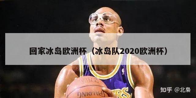 回家冰岛欧洲杯（冰岛队2020欧洲杯）