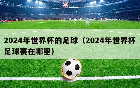 2024年世界杯的足球（2024年世界杯足球赛在哪里）