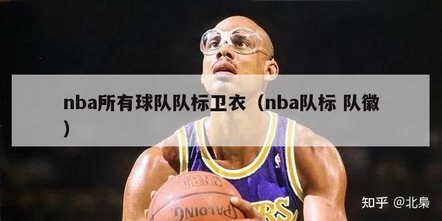 nba所有球队队标卫衣（nba队标 队徽）