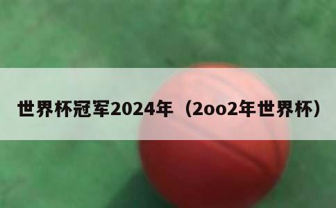 世界杯冠军2024年（2oo2年世界杯）