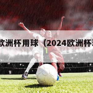 2024欧洲杯用球（2024欧洲杯球票发售）