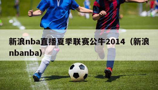 新浪nba直播夏季联赛公牛2014（新浪nbanba）