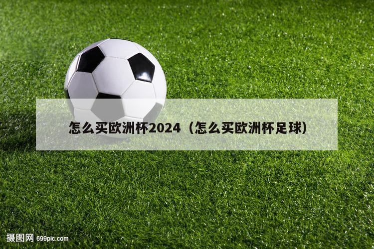 怎么买欧洲杯2024（怎么买欧洲杯足球）