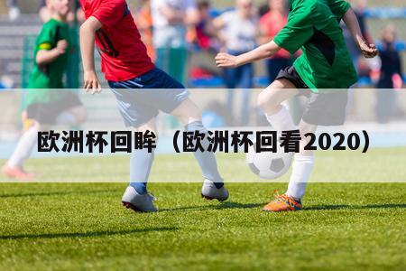 欧洲杯回眸（欧洲杯回看2020）