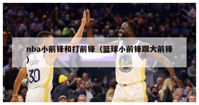 nba小前锋和打前锋（篮球小前锋跟大前锋）