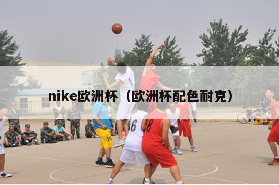 nike欧洲杯（欧洲杯配色耐克）