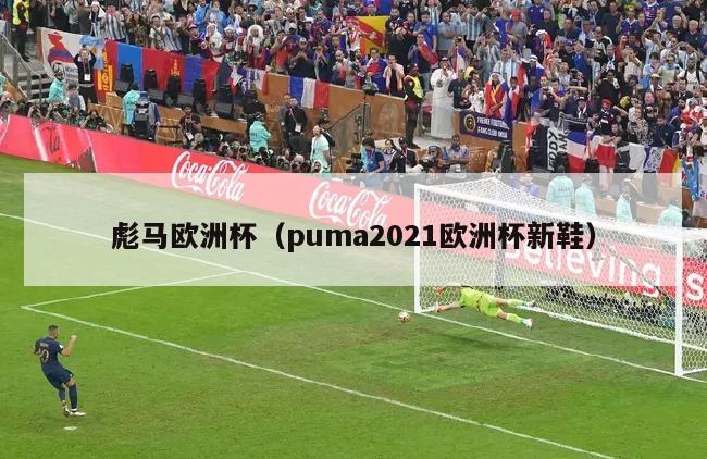 彪马欧洲杯（puma2021欧洲杯新鞋）