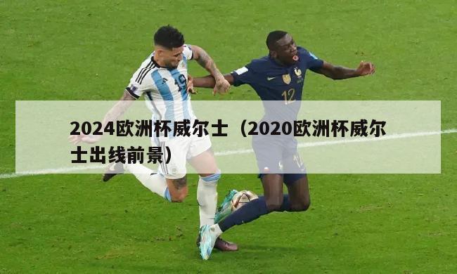 2024欧洲杯威尔士（2020欧洲杯威尔士出线前景）