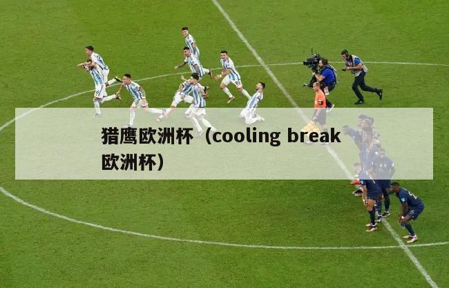 猎鹰欧洲杯（cooling break 欧洲杯）