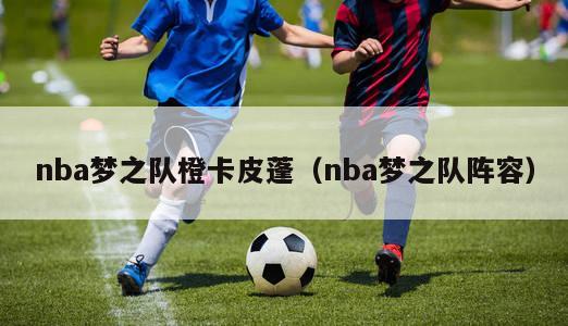 nba梦之队橙卡皮蓬（nba梦之队阵容）