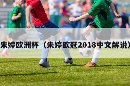 朱婷欧洲杯（朱婷欧冠2018中文解说）